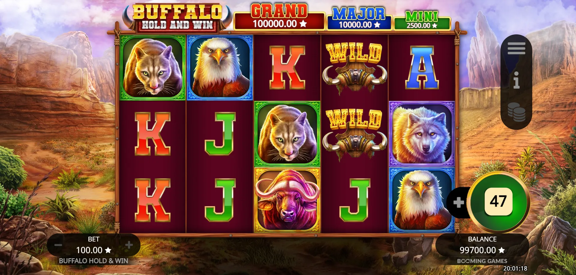 Buffalo Hold and Win Betting Options: Minimum, Maximum, and Stake Strategy