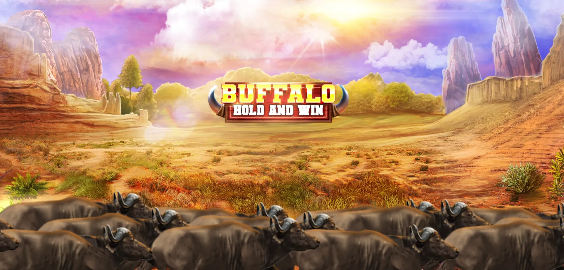 Booming Games: The Developer Behind Buffalo Hold and Win